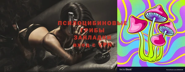 соль курить ск Верея